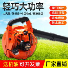 EB260工地公路吹灰消防农用养殖大棚授粉鼓风手提式汽油吹风机