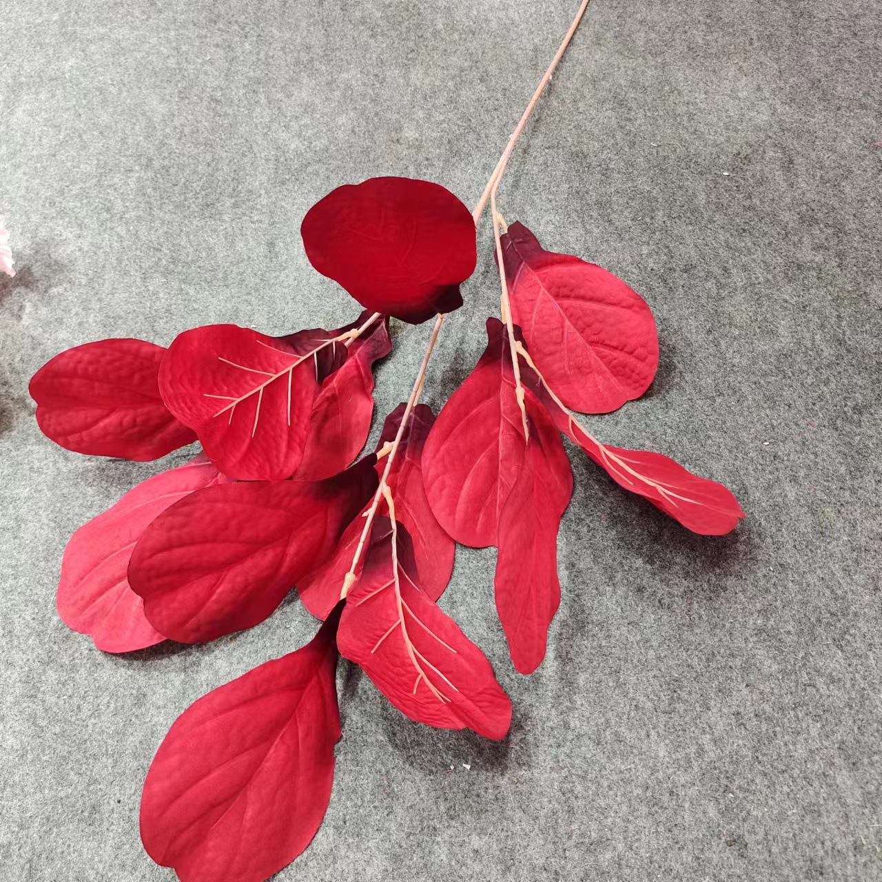 Daun Jeruk
