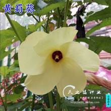 �S����N���S������N���޻����N��Ұܽ�طN���uצɏ�����۾�����