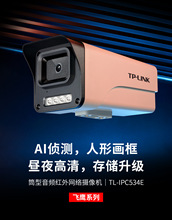 TP-LINK TL-IPC534E/P-W有线音频双光监控300万AI人形检测摄像头