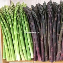 �J�S�N�Ӳ������ļ��̨�����߲˷N����ɫ���ﶬ��������횲˷N��