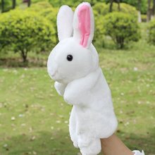 �׃��@ʮ����Ф��ż��� ������������ż��ָ��ż��ͨë�q�w֮�O