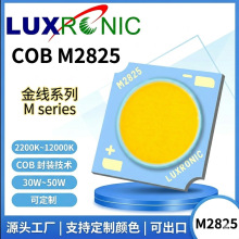 ����COB2825 �������LED��Դ ��CRI COB LED ���Ͳ�� ����cob