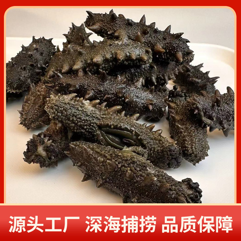 源头工厂现货批发大连海参干货批发拉缸盐海参顶火高刺海参批发