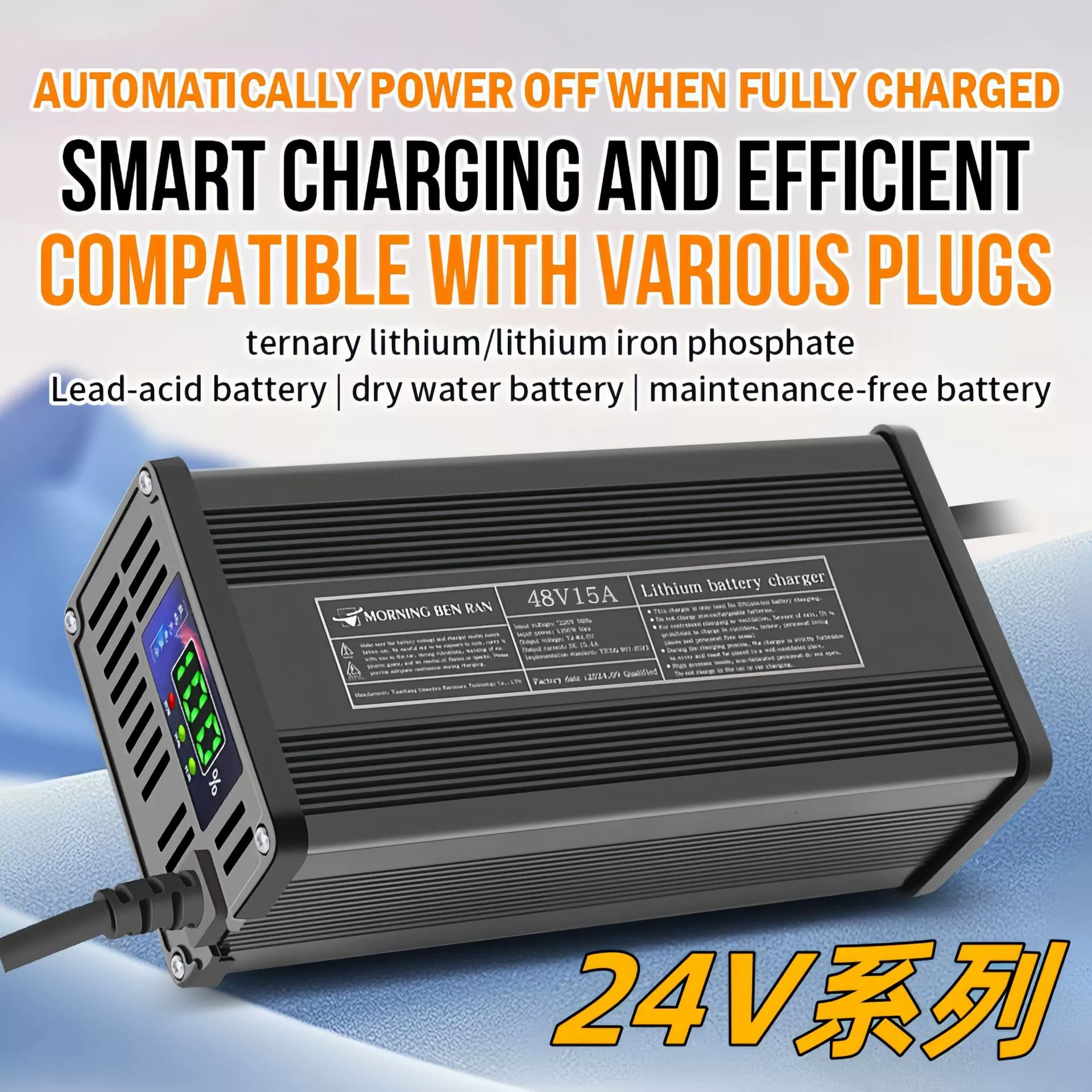 Литий-железо-фосфат 8 ниток 24 В от батареи 29.2V2a 29V5A29.2V10A литиевая батарея зарядное устройство быстро