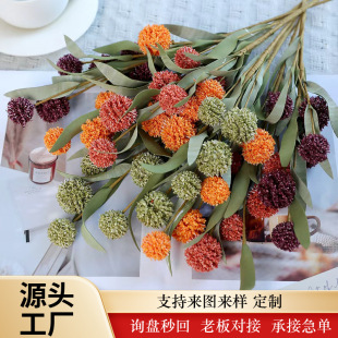 ��֧6�^�ѹ�Ӣ�ٻ���ɫ�����[��Ҿ��b羳����͹ŔzӰ����