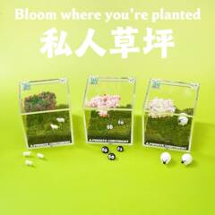 デスクトップ苔マイクロ風景装飾品屋内プライベート芝生オフィス誕生日ギフトエコボトルミニグリーン植物