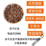 红虫干 冻干红虫 六角恐龙鱼饲料 鱼食垒德株中国麦太保其他