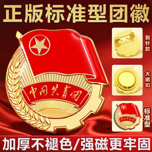 正版团徽批发共青团徽初中生高中生中国共青团磁吸磁扣标准款团徽