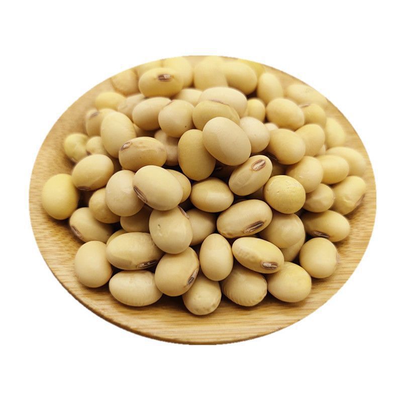 타원형 황토콩 250g ➫