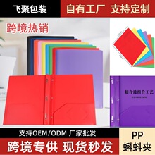 双袋夹蝌蚪夹文件夹美式A4收纳袋pp双袋办公收纳夹资料分类双插袋