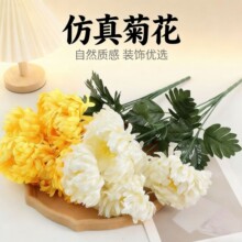 �����߲�ջ���z���ľ��д֗U������f�۾ջ����������뻨���l