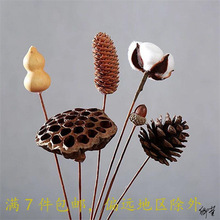 ׃@Ȼϸɻx޻ɹɏҾb[