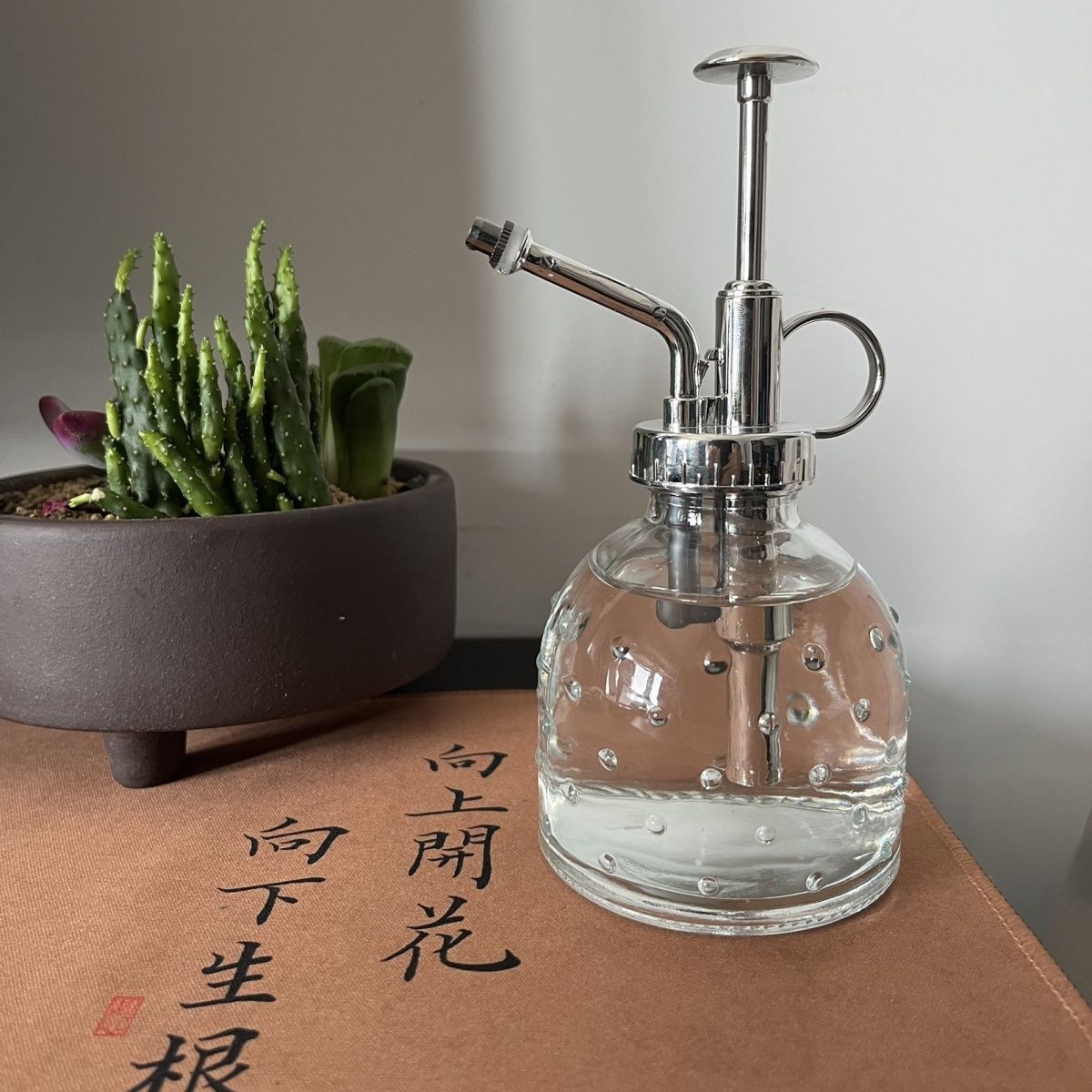 北欧园艺透明喷壶手持气压式多肉洒水壶简约多用浇花玻璃喷壶