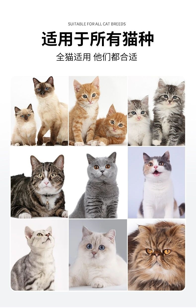 8d71bbf0-6dc3-490c-b742-535fc393addd.jpe