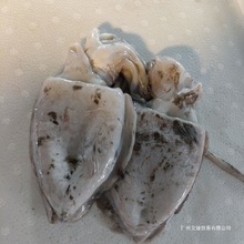 舟山野生东海目鱼(4一6两一1斤/只)冷冻墨鱼白灼炒烤好吃节日送礼