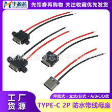 TYPE-C 2P母座带线焊线式防水立式耳座焊点USB母头电动充电充电口
