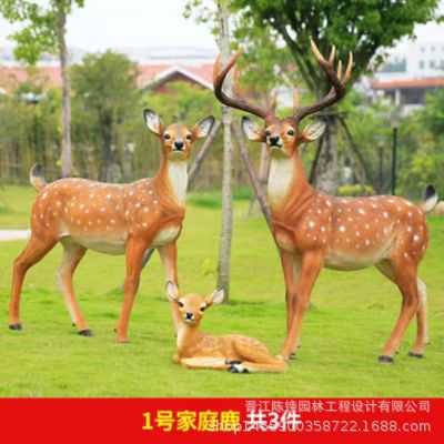 详情图