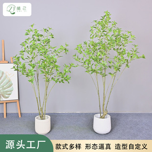 ����Gֲ���U�R��ľ�҃ȿ͏d�bGֲ��ش����R��ľ���R��S��