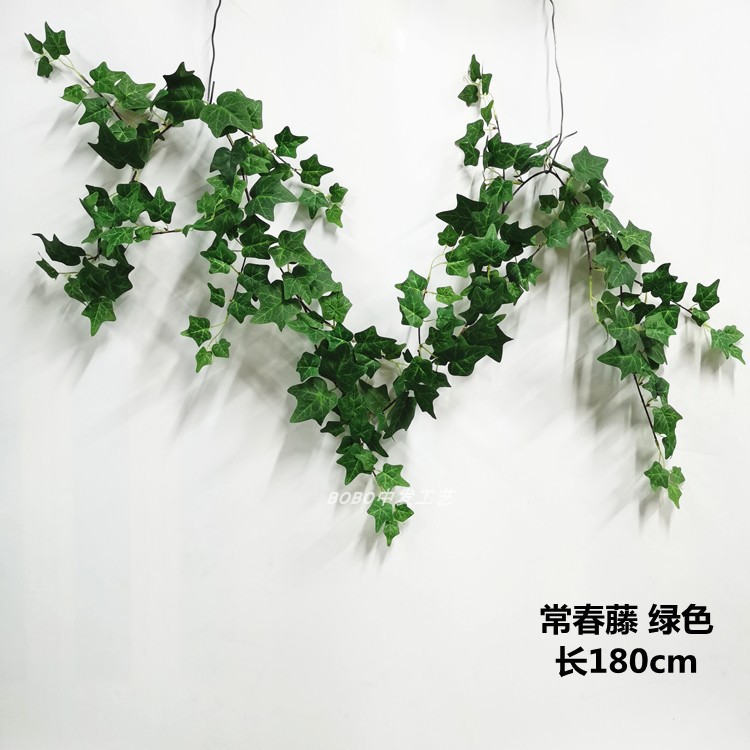 블랙 1.8 m 아이비 그린
