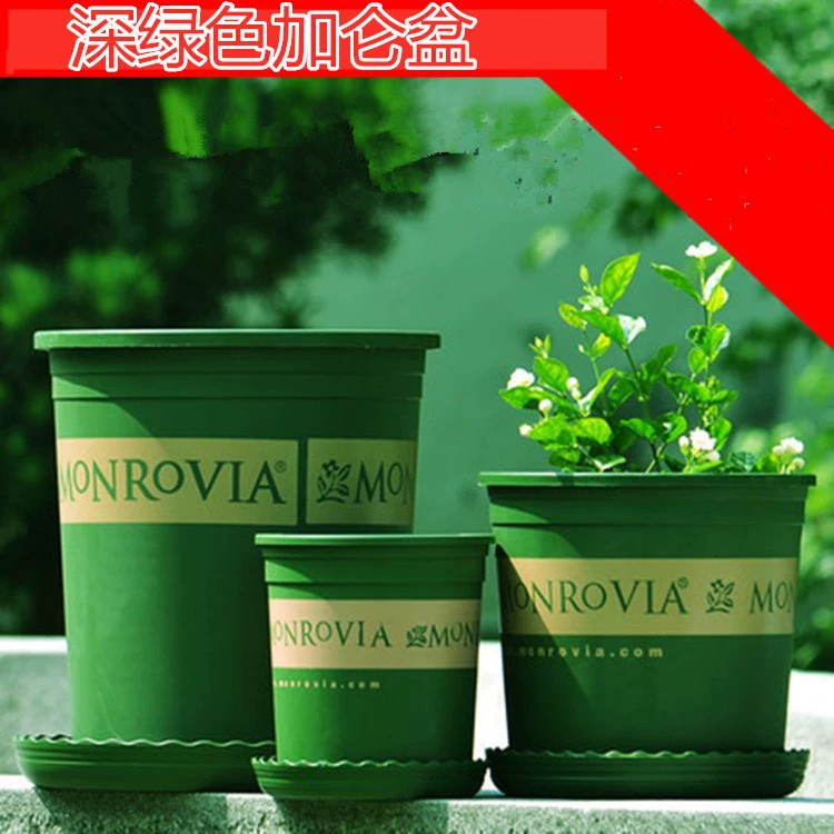 Галлонный горшок Пластиковый цветочный горшок Зеленое растение Давно стоящий из смолы Балкон Цветочная посадка Овощной зеленый Эль Садоводство Галлонный горшок