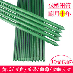 园艺支架包塑钢管种菜架子花架爬藤支撑植物杆户外豆角黄瓜