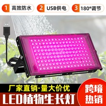 USBֲ�����L��ȫ���V�a���ֲ���ֲ��Ͷ����������猣��