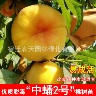 �S��Ҽ~���Ҙ����½������޽���Ʒ�N�ش�ë��Ҙ���Ҙ�޽ӹ�