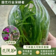 ��ʯ�� 4012 ˮ����ƿ���׳ɻ�M��С���҃������Ի�������r��
