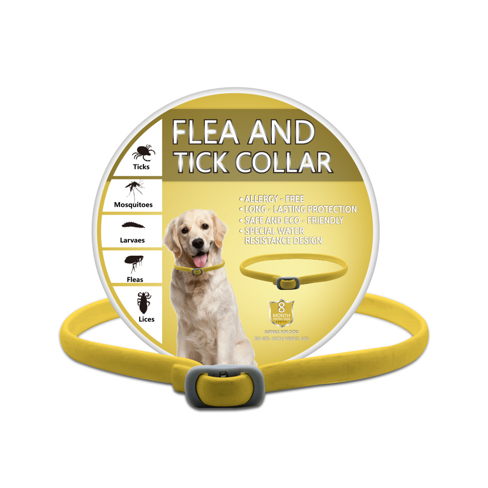 O1CN01VqNGxN21O8w65qUKG_!!2200697546974-0-cib.jpg?__r__=1660046055594