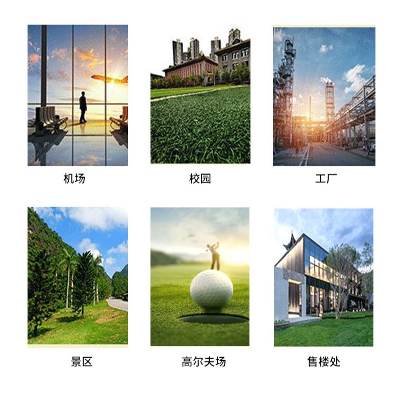 Vintage classic car hotel resort shuttle vehicle, park real estate viewing VIP reception sightseeing car