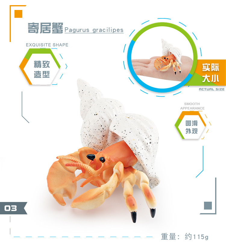 图层 4.jpg