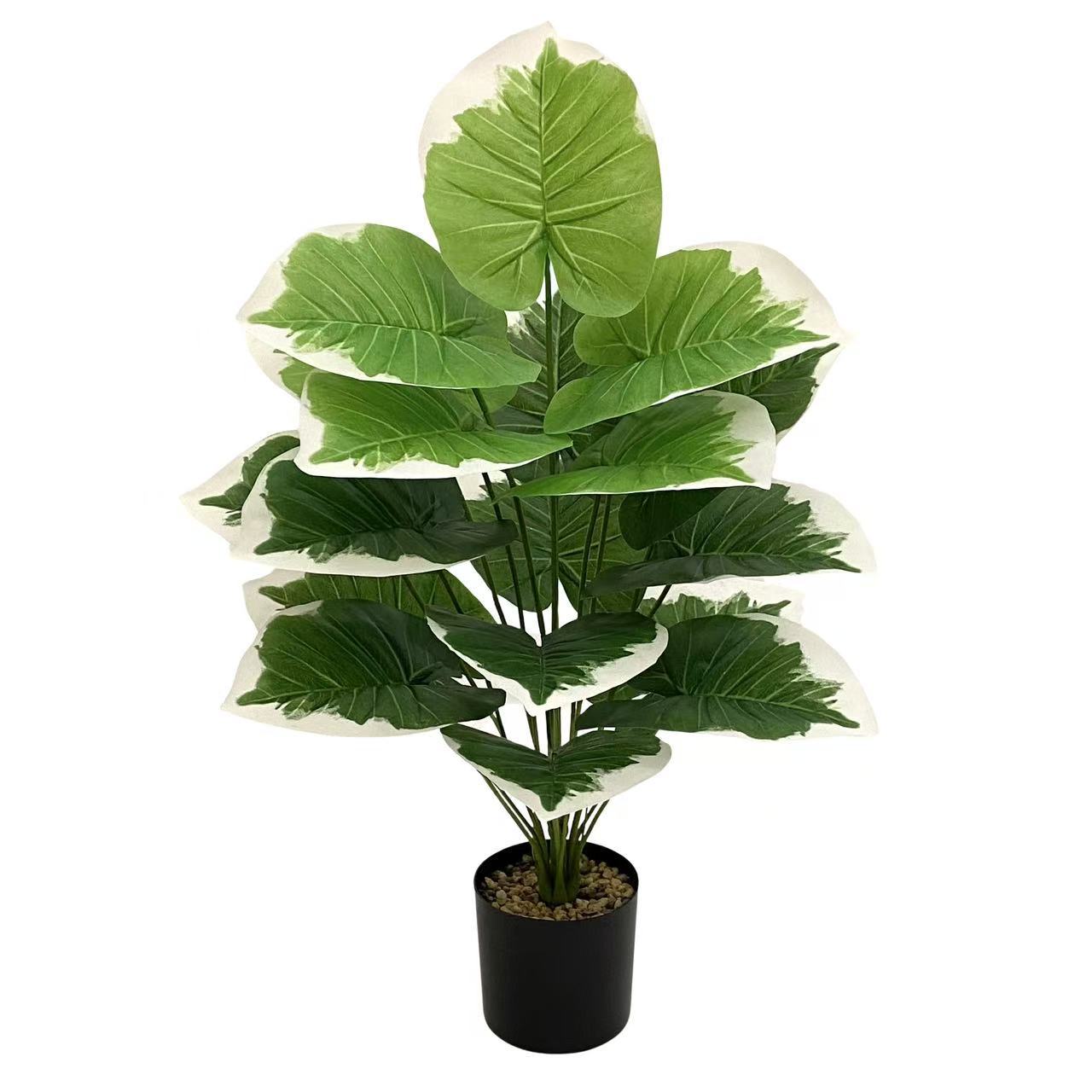 微信图片_20250804132514