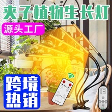 Դͷ����ledֲ�������Ƽ��ö�����ɫ����ƻ�������ֲ����ֲ��