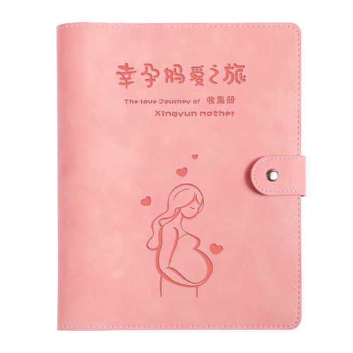 Prenatal Examination Collection Folder, Cute Portable Check List File, Antenatal Collection Folder, Report Form Data Album, A4