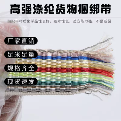 Trailer rope/net/strap — webbing minivan binding belt flat