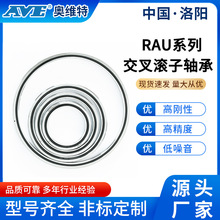 ��ꖊW�S��RAU19013����A���L���S�� ���պ����t���x���L���S��