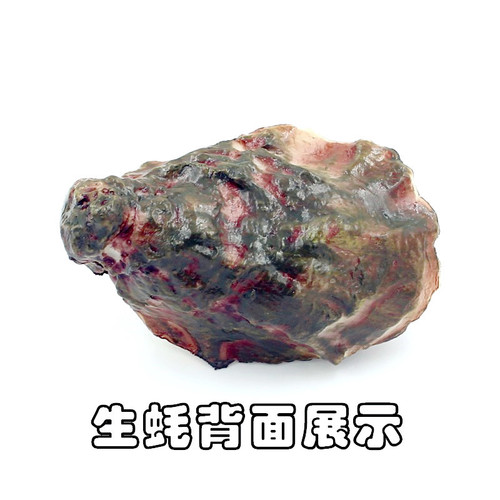 Simulated food barbecue oysters and scallops model decoration photography props hotel window display play house toys