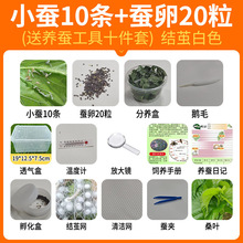 �W���B�Q�������b�Q�����g��z�Q�����߲��Q���x���rɣ�~