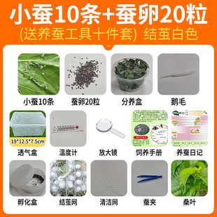 �W���B�Q�������b�Q�����g��z�Q�����߲��Q���x���rɣ�~