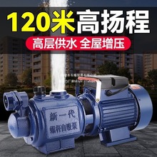 ����ȫ�Ԅӳ�ˮ��ˮ�������øߓP���ݗU��ˮ�������ßo����ˮ220V