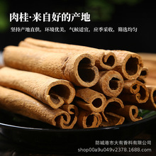 �˽ǹ�Ƥ���~�ݹ����ƽM�������{���������l�u���{ζ���u������