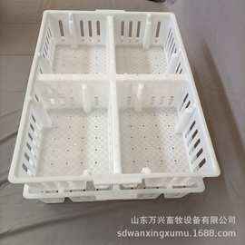 厂家供应四格小鸡筐塑料鸡苗箱塑料周转箱纯原料图片