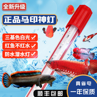 Horse seal magic lamp red dragon lamp special aquarium lamp three primary color increasing lamp water grass lamp fish tank lamp LED lamp waterproof