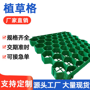 �S������ֲ�ݸ�ͣ܇���@�־G���ӵ��o�²�ƺ������܇��ֲ�ݸ��