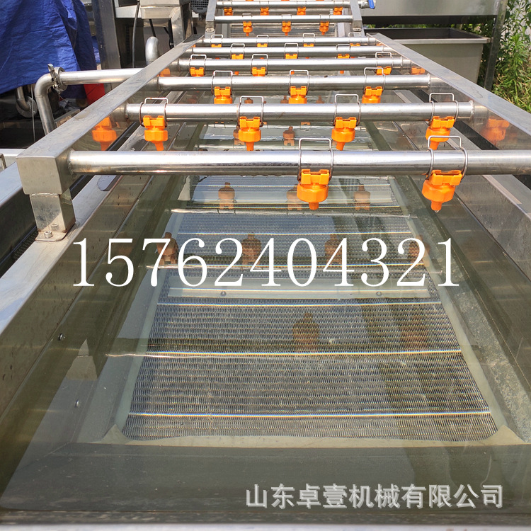 新鲜秋葵黄秋葵气泡清洗机现货水果秋葵深加工流水设备果蔬清洗机