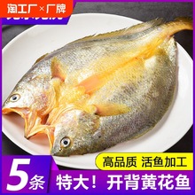 �S�~�����r������S�~�S���~��ȥ���r����С�S�~�r��r���~ˮ�a