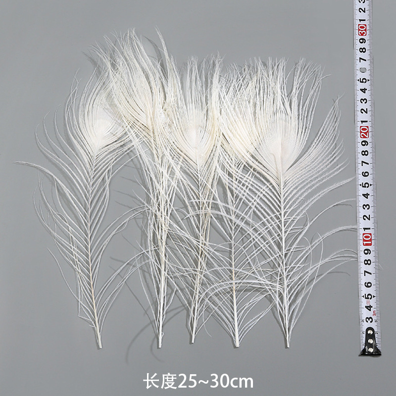 25-30cm 공작새 깃털