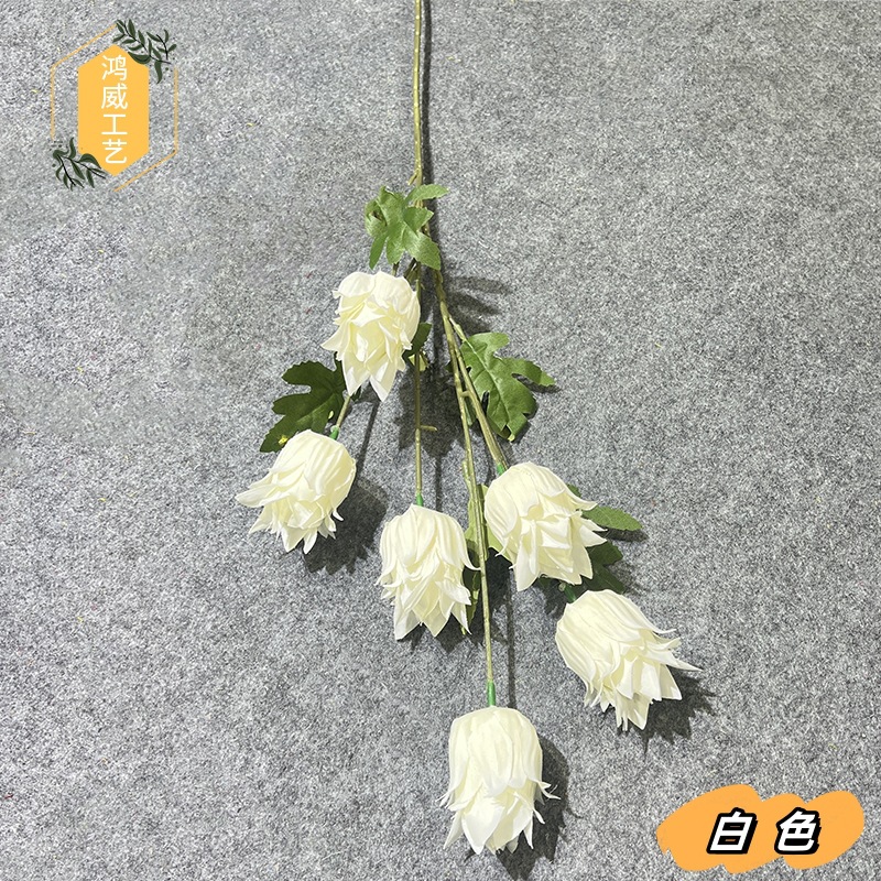 화이트