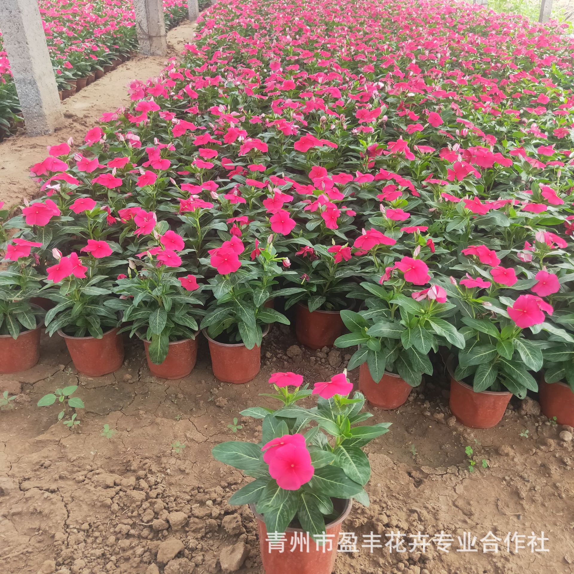 微信图片_202111080900153